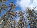 spgm-1.4.7/gal/Sfruz 28 febbraio - 1 marzo 2015/_thb_sfruz2015we06.jpg